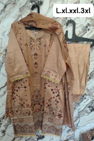 Pakistani readymade suit